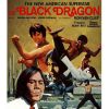 The Black Dragon (1979) (Vietsub) - Hắc Long Báo Thù