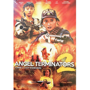 Thiên Sứ Hủy Diệt 2 (1993) (Thuyết Minh)